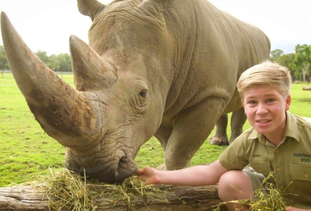 Australia Zoo is only a short drive from Coolum Beach